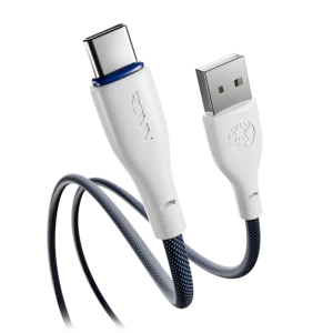 R-2025 Cable (Type-C)